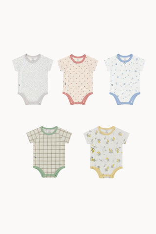 [5点SET] メッシュボディスーツ 選べるセット