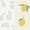 SET4 Grey Flower-Yellow Lemon