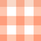 Orange Gingham Swimwear