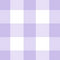 Purple Gingham Swimwear