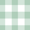Sage Gingham Swimwear