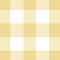 Yellow Gingham Swimwear